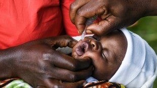 Wild polio, wild polio virus, Mozambique, WHO, health news,