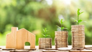 sustainable investment, EIS, EIS portfolio