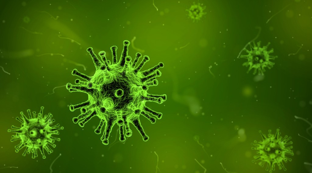 coronavirus, monkepox, WHO