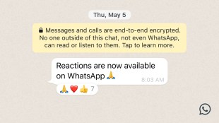 whatsapp message reaction