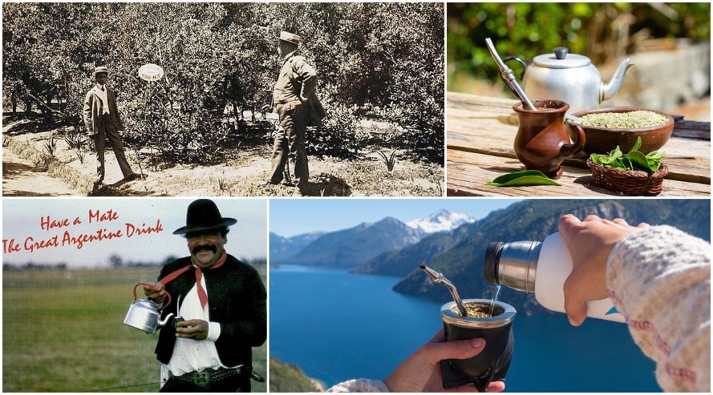 In the 17th Century and with the arrival of Jesuits to the area, the consumption was first forbidden and later promoted, as they realized it was beneficial for their health. Drunk mostly in rural areas, its consumption in cities increased in the late 19th Century and all throughout the 20th Century.