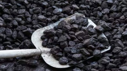 The imports were necessitated due to a paucity of the fuel in the domestic market, and depleting stocks with many power plants. According to agency reports, the government had directed CIL to be prepared to import 12 mt of coal for power utilities over the next 13 months. The imports were necessitated due to a paucity of the fuel in the domestic market, and depleting stocks with many power plants. According to agency reports, the government had directed CIL to be prepared to import 12 mt of coal for power utilities over the next 13 months.