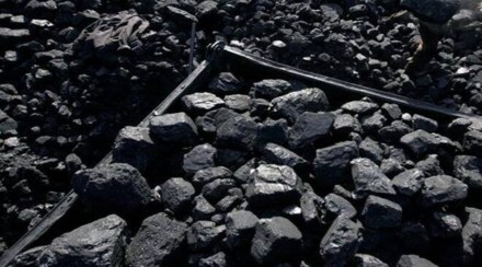 Despite steep rise in actual demand of coal from 956 MT in 2019-20 to 1,027 MT in 2021-22, imports of the dry fuel have not increased.