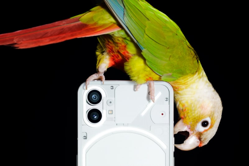 Nothing Phone (1)