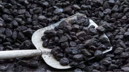 Coal Stocks