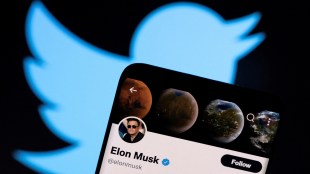twitter bot data elon musk
