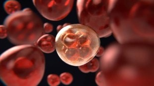 Alembic Pharmaceuticals, cancer injection, Paclitaxel Injection, breast cancer, USFDA, Health news, pharma news,