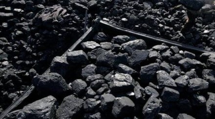 coal india limited