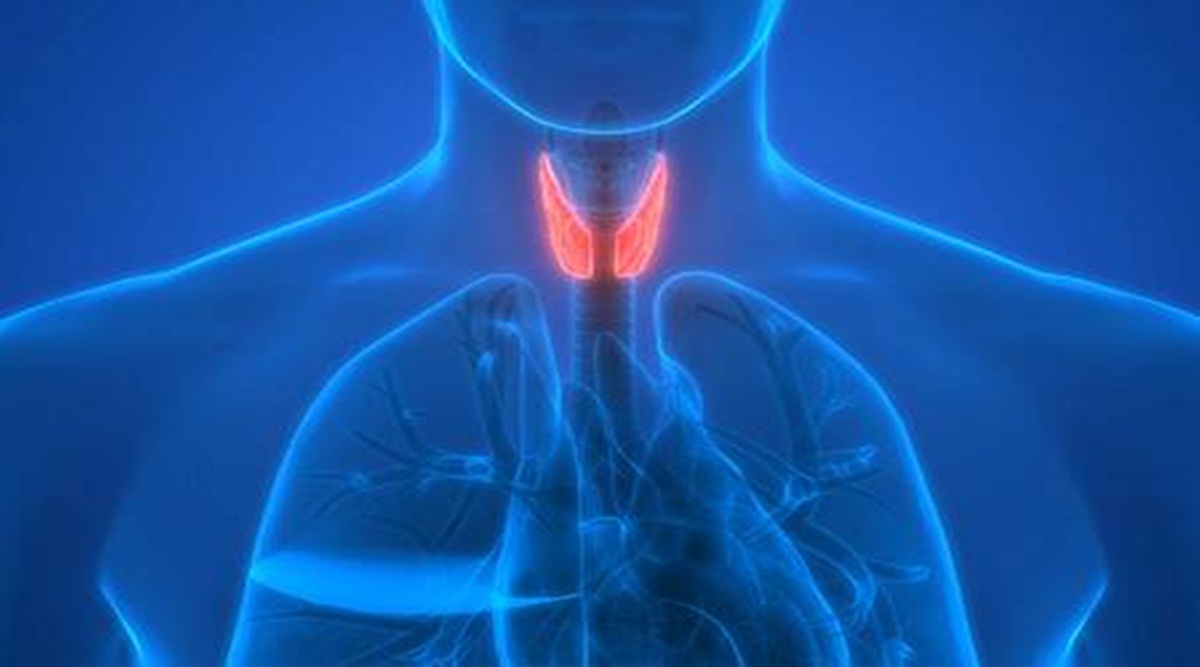 Iodine deficiency, Mansukh Mandaviya, Union Health Minister, Monsoon session, thyroid, thyroid cancer, health news, healthcare, Iodine deficiency, Mansukh Mandaviya, Union Health Minister, Monsoon session, thyroid, thyroid cancer, health news, healthcare,