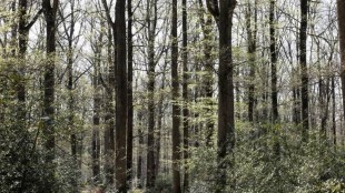North East Region, carbon emissions, Paris Accord, Climate Crisis