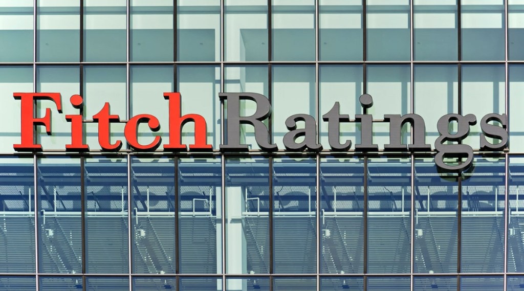 Fitch, Indian economy