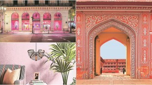 pink colour
