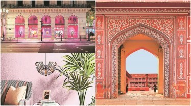 pink colour