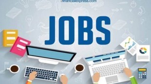 jobs offers