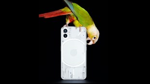 Nothing Phone (1) full design