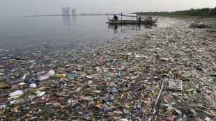 oceans day 2022