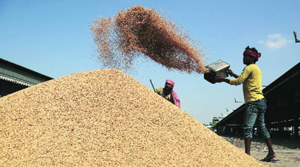 paddy telangana