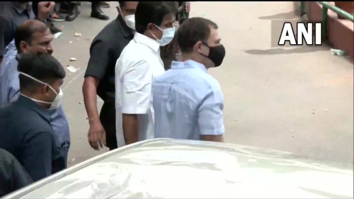 National Herald Case Live, Rahul Gandhis ED Appearance Live Updates: The ED will record the Rahul Gandhi's statement under the criminal sections of the Prevention of Money Laundering Act (PMLA). National Herald Case Live, Rahul Gandhis ED Appearance Live Updates: The ED will record the Rahul Gandhi's statement under the criminal sections of the Prevention of Money Laundering Act (PMLA).