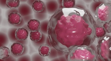 Spectrum Pharmaceuticals, USFDA, lung cancer drug, poziotinib, Luye Pharma, health news, pharma news,
