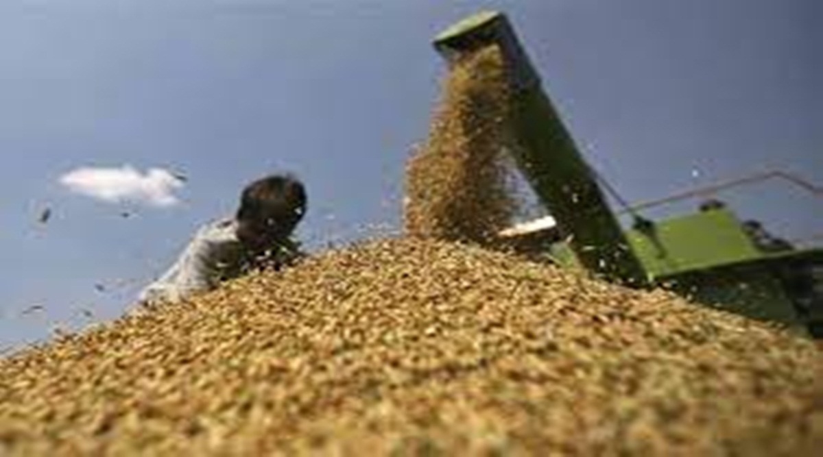 With export ban exceptions, India’s wheat export forecast to be 7 ...