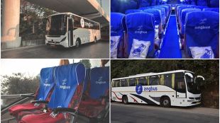zingbus