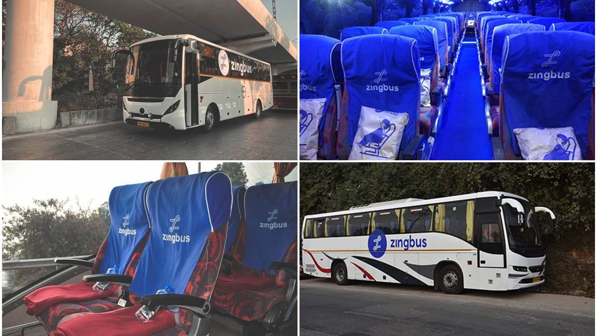 zingbus zingbus