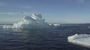 The trend has stepped upward steeply twice in the last 50 years, a finding missed by all but four of 39 climate models, the researchers said.