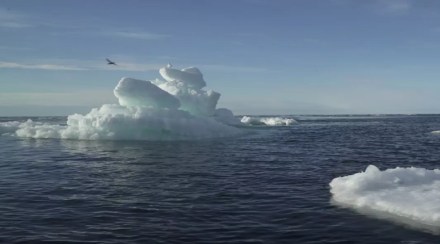 The trend has stepped upward steeply twice in the last 50 years, a finding missed by all but four of 39 climate models, the researchers said.