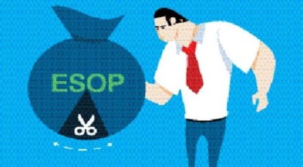 ID fresh food sells various types of dosa and idli batter along with several other Indian breads. It was founded by five cousins - PC Musthafa, Abdul Nazer, Shamsudeen TK, Jafar TK, and Noushad TA in 2005 in Bengaluru. ID fresh food sells various types of dosa and idli batter along with several other Indian breads. It was founded by five cousins - PC Musthafa, Abdul Nazer, Shamsudeen TK, Jafar TK, and Noushad TA in 2005 in Bengaluru.