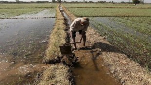 Over the past couple of years, we have witnessed the severe damage caused by climate change to agriculture; the hit to farms has been to such an extent that global prices of many crops have shot up, putting them out of range for many.