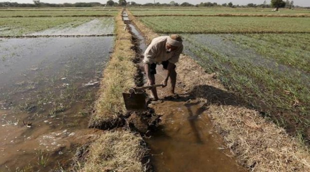 Over the past couple of years, we have witnessed the severe damage caused by climate change to agriculture; the hit to farms has been to such an extent that global prices of many crops have shot up, putting them out of range for many. Over the past couple of years, we have witnessed the severe damage caused by climate change to agriculture; the hit to farms has been to such an extent that global prices of many crops have shot up, putting them out of range for many.