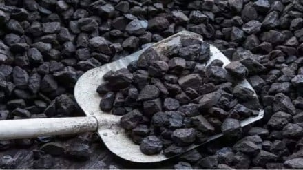 According to sources, the letter for award of contract was issued to the L1 vendor of medium term tenders for east and west coast supply on July 9.
