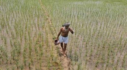 For certain crops in some states (like soyabean in Maharashtra and cotton in Karnataka) farmers' income more than doubled in FY22 from FY18 levels, while in all other cases it rose in the range of 1.3-1.7 times. For certain crops in some states (like soyabean in Maharashtra and cotton in Karnataka) farmers' income more than doubled in FY22 from FY18 levels, while in all other cases it rose in the range of 1.3-1.7 times.