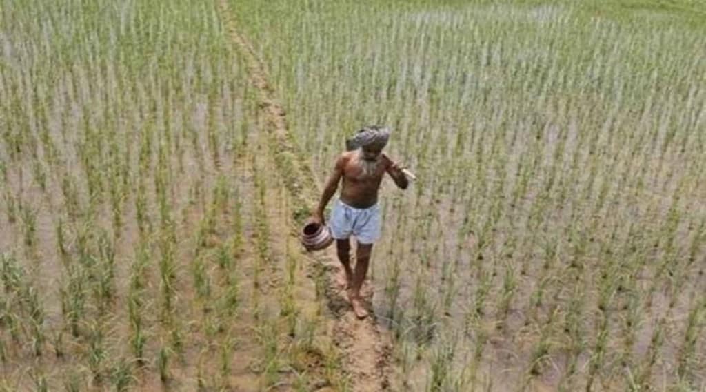 For certain crops in some states (like soyabean in Maharashtra and cotton in Karnataka) farmers' income more than doubled in FY22 from FY18 levels, while in all other cases it rose in the range of 1.3-1.7 times.
