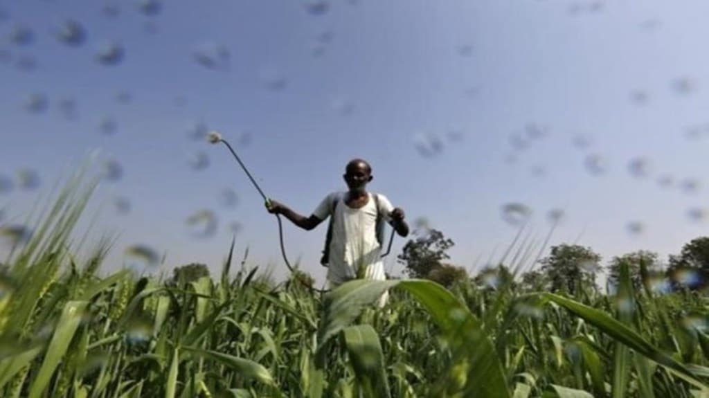 “For the first time, the company has invested in a rock phosphate mine project in Senegal. It is entering into long-term contracts with diverse supply sources to mitigate business risk and ensure continuity,” Goel said. “For the first time, the company has invested in a rock phosphate mine project in Senegal. It is entering into long-term contracts with diverse supply sources to mitigate business risk and ensure continuity,” Goel said.