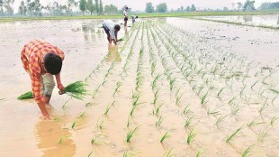 The situation is expected to reach a critical level if the state does not get adequate rainfall in the next couple of weeks.