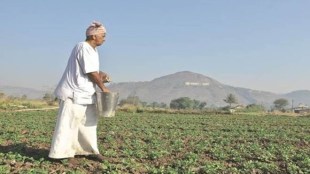 “Getting access to institutional credit remains a challenge for the farmers in the country and loan waiver may not be an appropriate approach for qualitative improvement in farmers income.,” Sharma said at a meet on 'farm loan waiver in India' organized by Bharat Krishak Samaj (BKS).