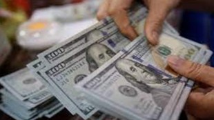 Microsoft, stock, share, price, rupee vs dollar