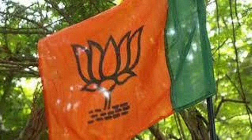 BJP in south india