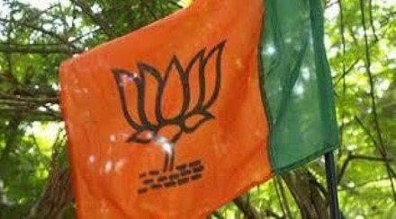BJP in south india