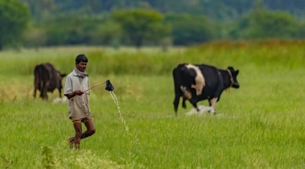 agri census