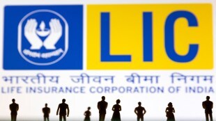 LIC reliance cap