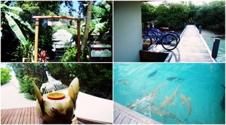 Maldives Tourism, luxury islands in Maldives, Velana International Airport in Male