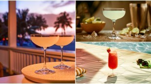 National Daiquiri Day