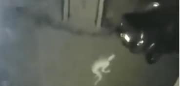 The video was captured on a security camera in the town of Moorhead