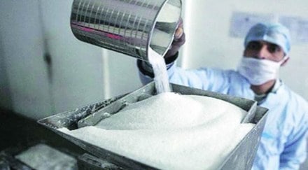 sugar export, ISMA sugar export, ISMA