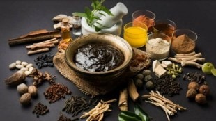 AYUSH Ministry, Health Ministry, Pharmacy, One herb one standard, health news, pharma news,