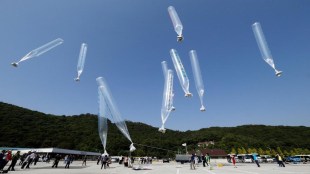 covid 19 cases in NK