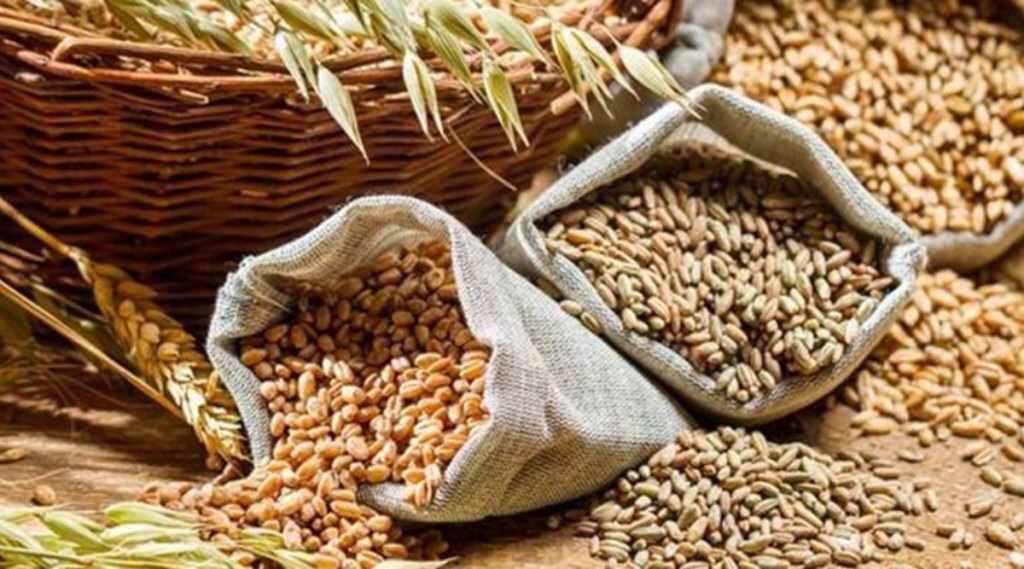 Ukraine, Russia, United Nations, Turkey, Black Sea, grain export