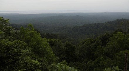 The Aravalis are critical for the national capital region in terms of sustainability, not just as a haven for biodiversity, but also groundwater recharge (IE)